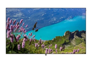 LOEWE 77 4K UHD OLED TV MADE IN GERMANY